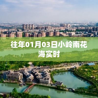 『小岭南花海实时盛放,迎接新年第一缕阳光』