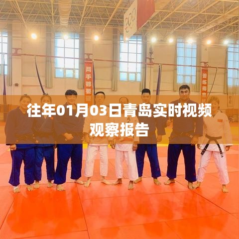 青岛实时视频观察报告，历年一月初观察分析