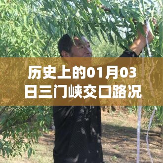 历史上1月3日三门峡交口路况实时查询及影响概述，简洁明了，包含了您所关心的内容，希望符合您的要求。