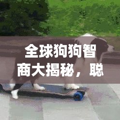 老死不相往来 第5页