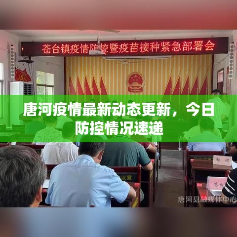 唐河疫情最新动态更新，今日防控情况速递