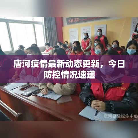 唐河疫情最新动态更新,今日防控情况速递