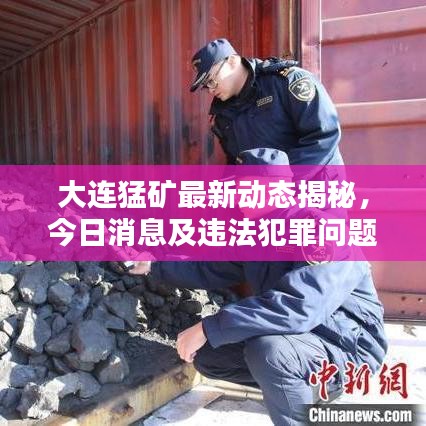 大连猛矿最新动态揭秘，今日消息及违法犯罪问题深度探讨