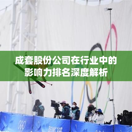 成套股份公司在行业中的影响力排名深度解析