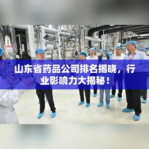 山东省药品公司排名揭晓,行业影响力大揭秘!