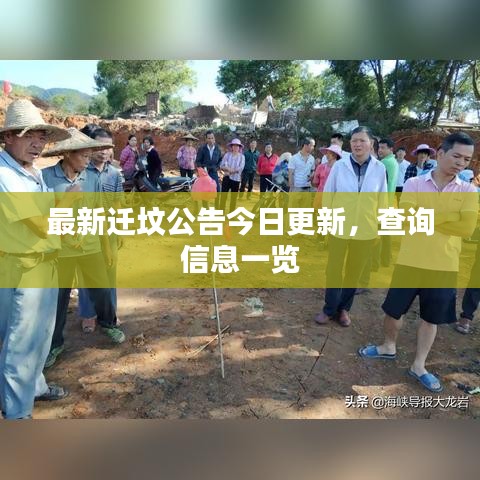 最新迁坟公告今日更新,查询信息一览