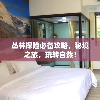 丛林探险必备攻略,秘境之旅,玩转自然!