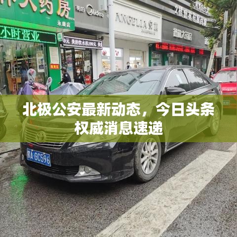 北极公安最新动态,今日头条权威消息速递