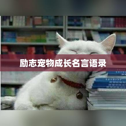 励志宠物成长名言语录