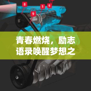 龙飞九五 第4页