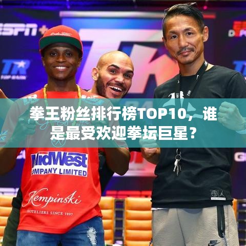 拳王粉丝排行榜TOP10，谁是最受欢迎拳坛巨星？