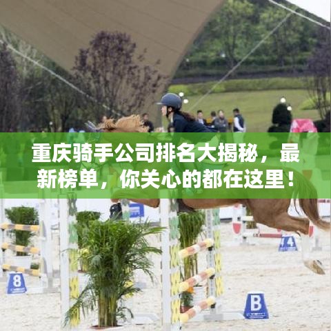 重庆骑手公司排名大揭秘,最新榜单,你关心的都在这里!