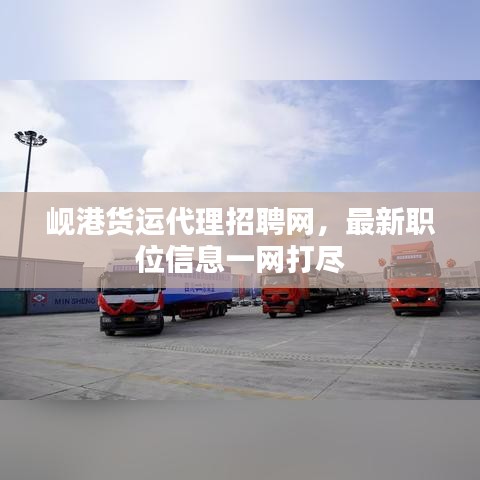 岘港货运代理招聘网，最新职位信息一网打尽
