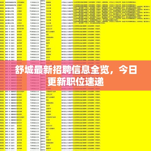 舒城最新招聘信息全览，今日更新职位速递