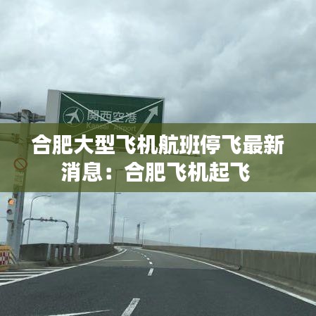 合肥大型飞机航班停飞最新消息：合肥飞机起飞 