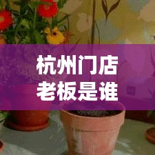 杭州门店老板是谁啊最新消息:杭州新开的店