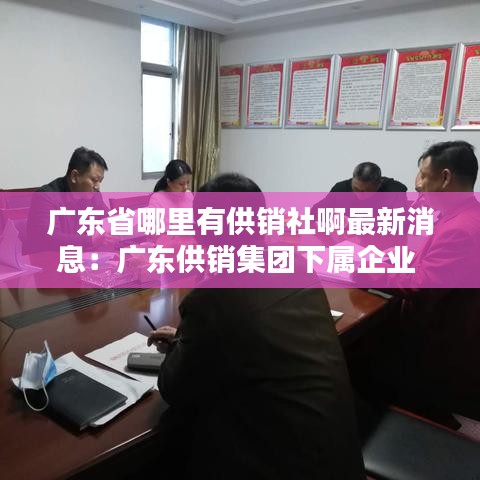 广东省哪里有供销社啊最新消息：广东供销集团下属企业 