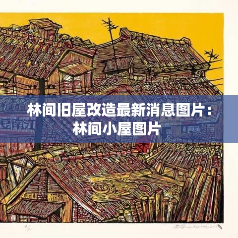 林间旧屋改造最新消息图片：林间小屋图片 
