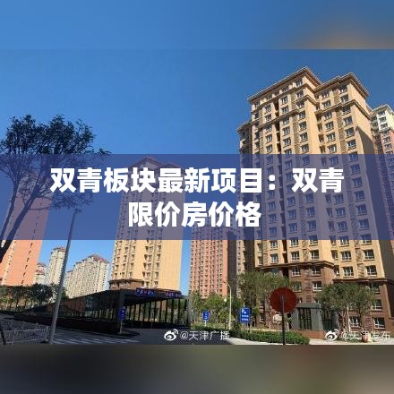 双青板块最新项目：双青限价房价格 