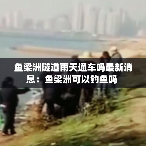 鱼梁洲隧道雨天通车吗最新消息:鱼梁洲可以钓鱼吗