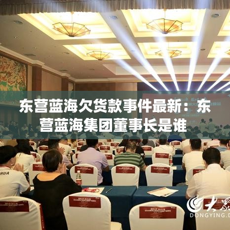 东营蓝海欠货款事件最新:东营蓝海集团董事长是谁