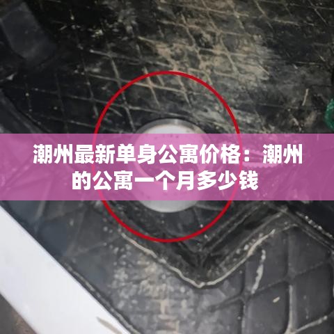 潮州最新单身公寓价格：潮州的公寓一个月多少钱 