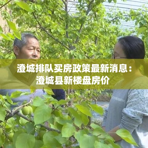 澄城排队买房政策最新消息:澄城县新楼盘房价
