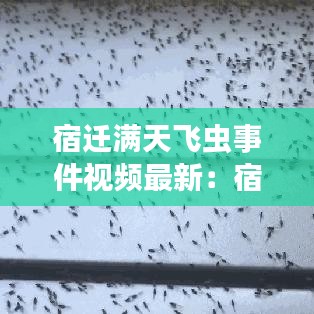 宿迁满天飞虫事件视频最新：宿迁天空 