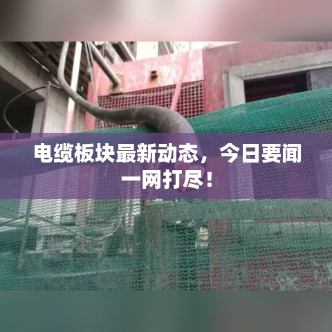 电缆板块最新动态，今日要闻一网打尽！