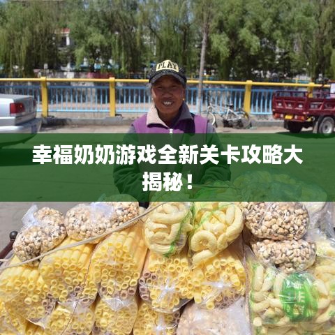 幸福奶奶游戏全新关卡攻略大揭秘！