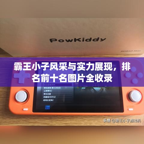 霸王小子风采与实力展现,排名前十名图片全收录