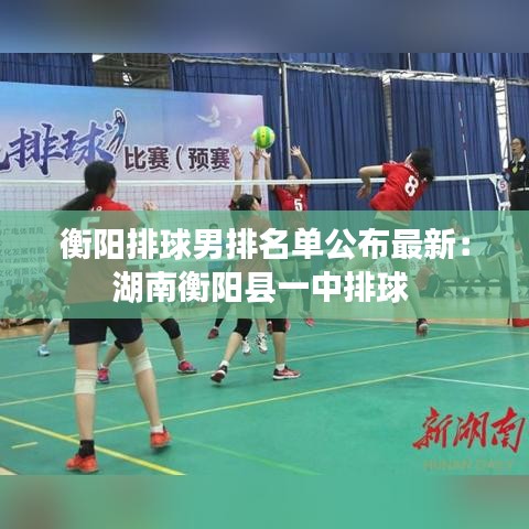 衡阳排球男排名单公布最新:湖南衡阳县一中排球