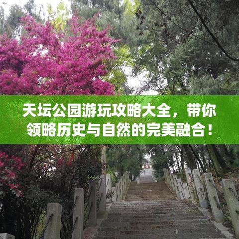 天坛公园游玩攻略大全，带你领略历史与自然的完美融合！