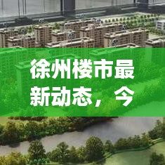 徐州楼市最新动态，今日市场消息速递