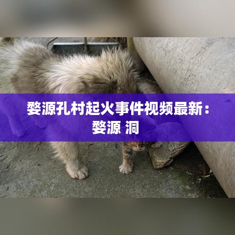 婺源孔村起火事件视频最新:婺源 洞