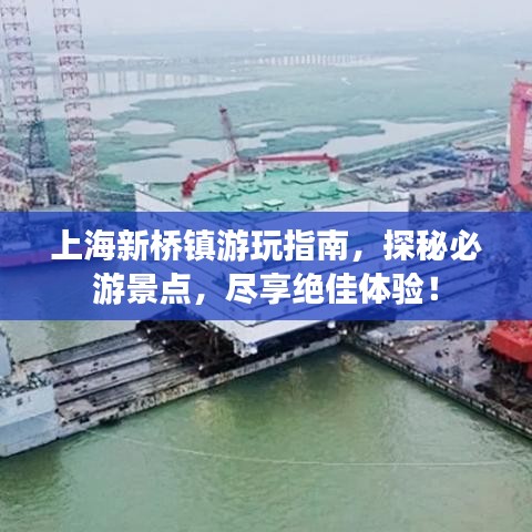 上海新桥镇游玩指南，探秘必游景点，尽享绝佳体验！