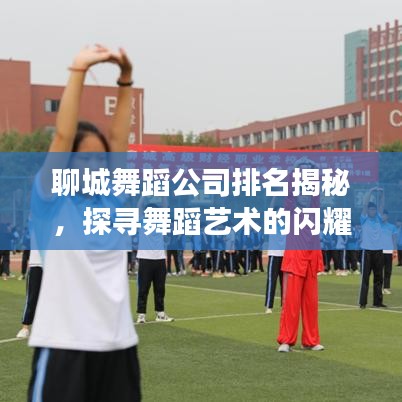 聊城舞蹈公司排名揭秘，探寻舞蹈艺术的闪耀明珠
