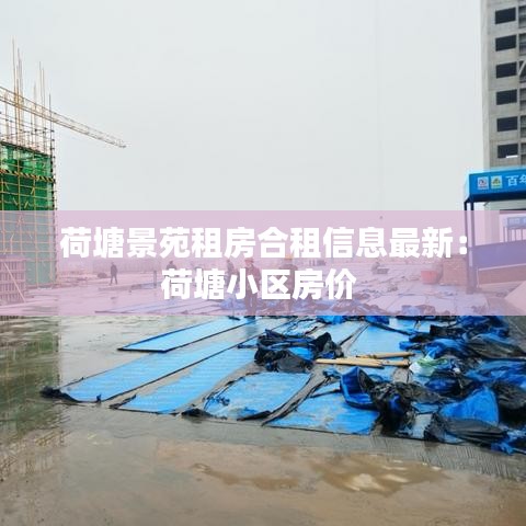荷塘景苑租房合租信息最新：荷塘小区房价 