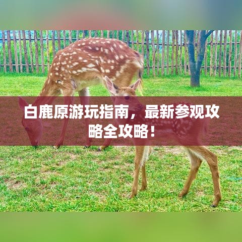 白鹿原游玩指南，最新参观攻略全攻略！