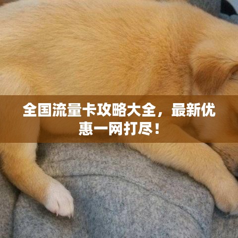 全国流量卡攻略大全,最新优惠一网打尽!