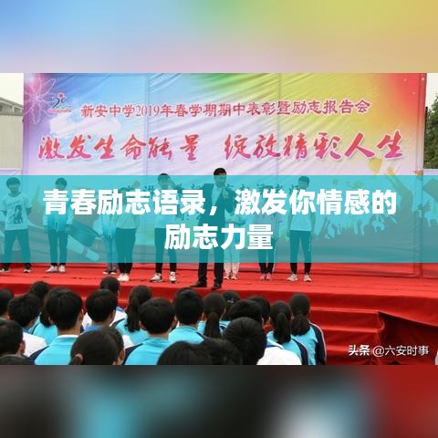 青春励志语录，激发你情感的励志力量