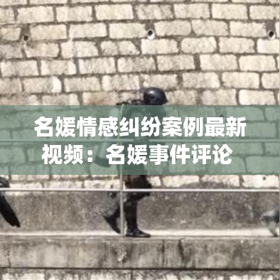 名媛情感纠纷案例最新视频:名媛事件评论