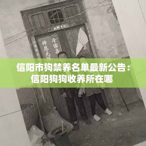 不知就里 第4页