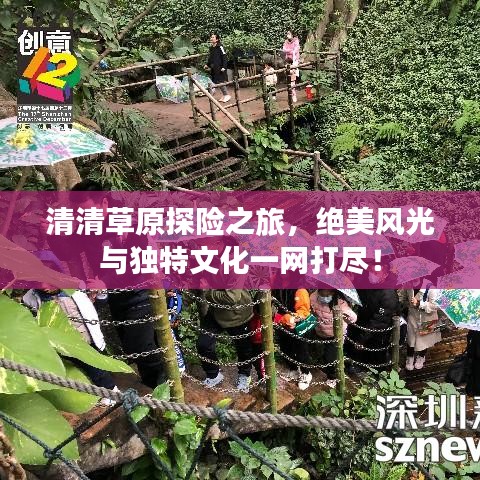 清清草原探险之旅，绝美风光与独特文化一网打尽！