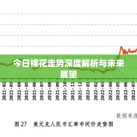 今日棉花走势深度解析与未来展望
