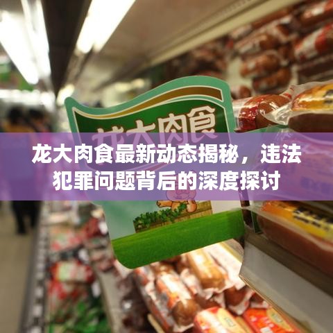 龙大肉食最新动态揭秘，违法犯罪问题背后的深度探讨