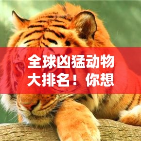 全球凶猛动物大排名！你想知道的猛兽都在这里！