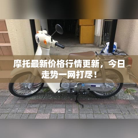摩托最新价格行情更新,今日走势一网打尽!