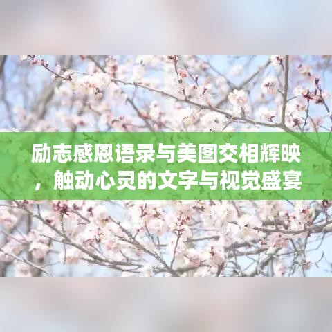 励志感恩语录与美图交相辉映,触动心灵的文字与视觉盛宴