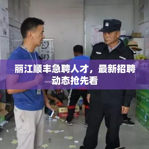 丽江顺丰急聘人才，最新招聘动态抢先看